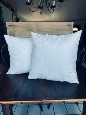 Pottery Barn Accent Pillow Insert Pair*